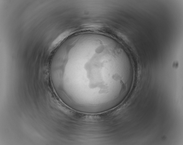 X0000110681354200906261311