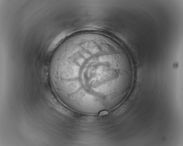 X0000110681355200906261311