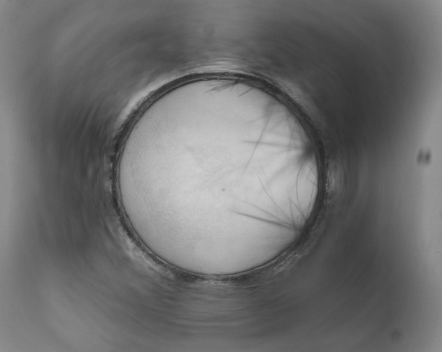 X0000110681356200906261311