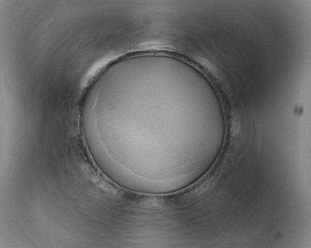 X0000110681358200906261311