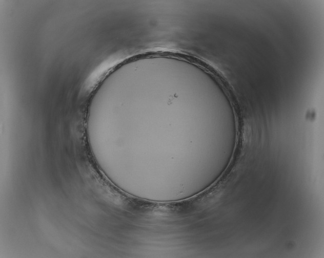 X0000110681359200906261310