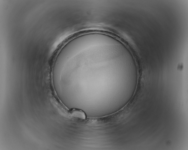 X0000110681360200906261310