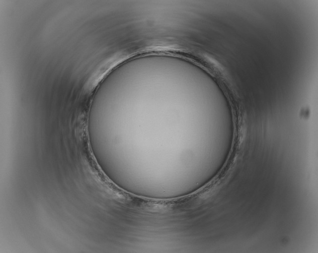 X0000110681361200906261310