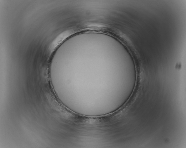 X0000110681362200906261310