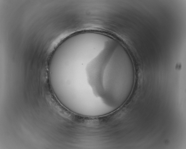 X0000110681363200906261310