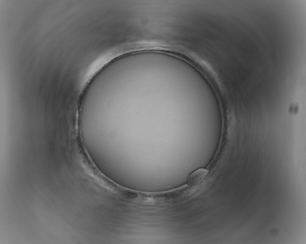 X0000110681365200906261310