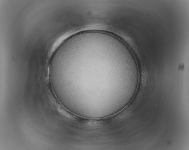 X0000110681366200906261310