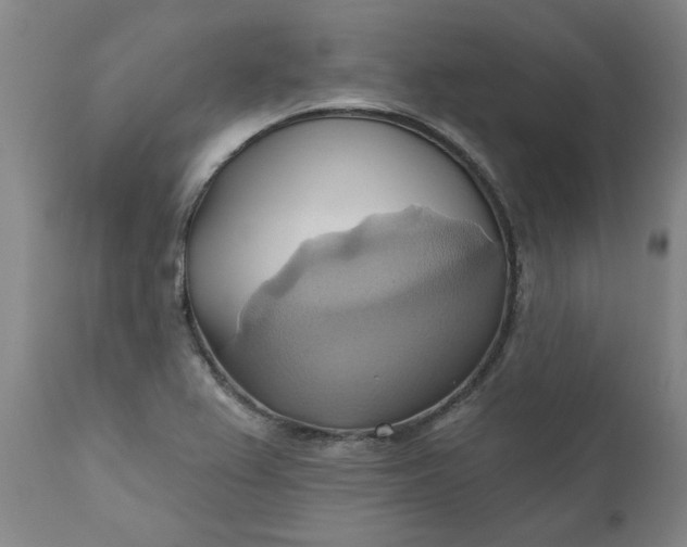 X0000110681367200906261310