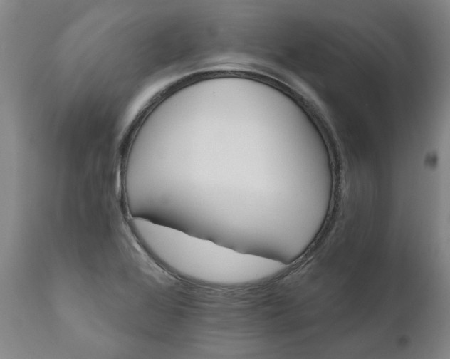 X0000110681368200906261310