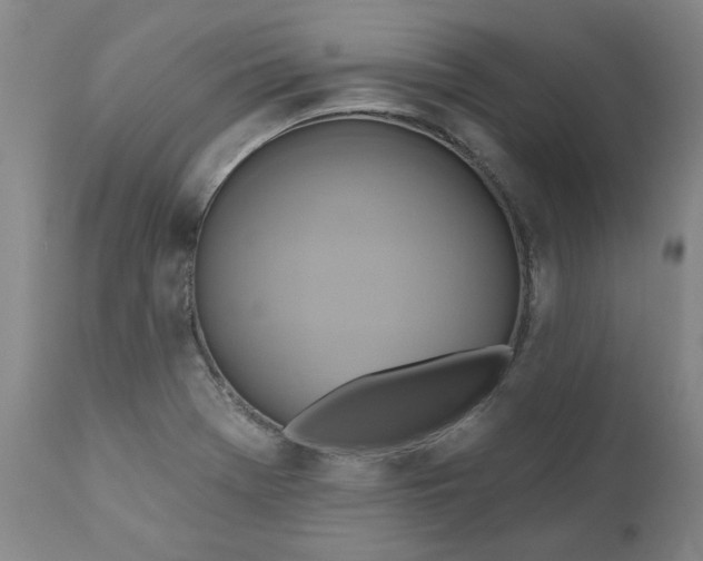 X0000110681369200906261310