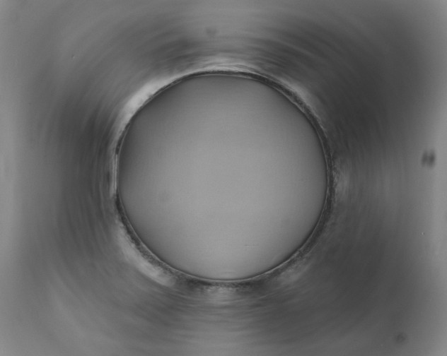 X0000110681371200906261310