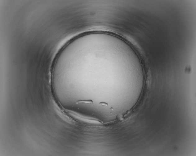 X0000110681372200906261310