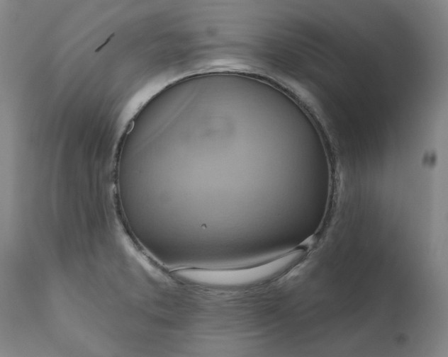 X0000110681373200906261310