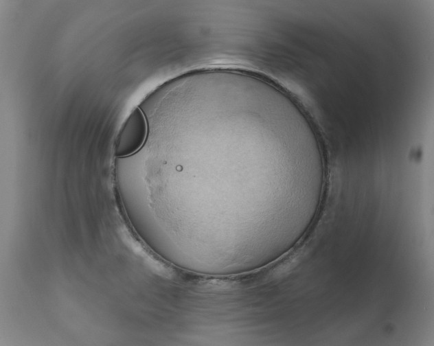 X0000110681374200906261310