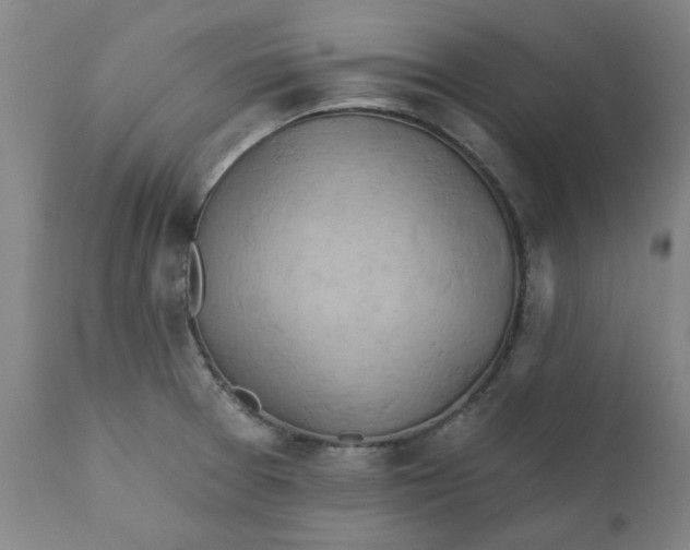 X0000110681377200906261310