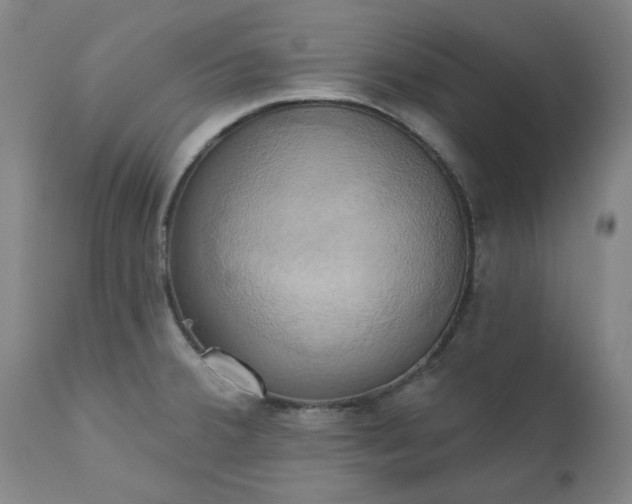 X0000110681380200906261310