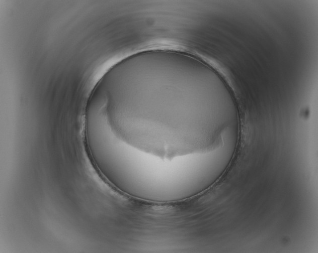 X0000110681383200906261310