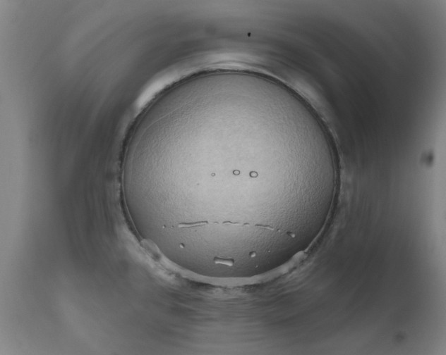 X0000110681384200906261310