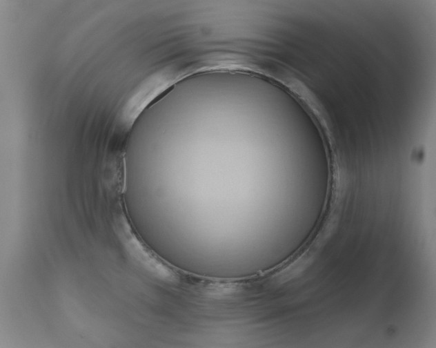 X0000110681385200906261310