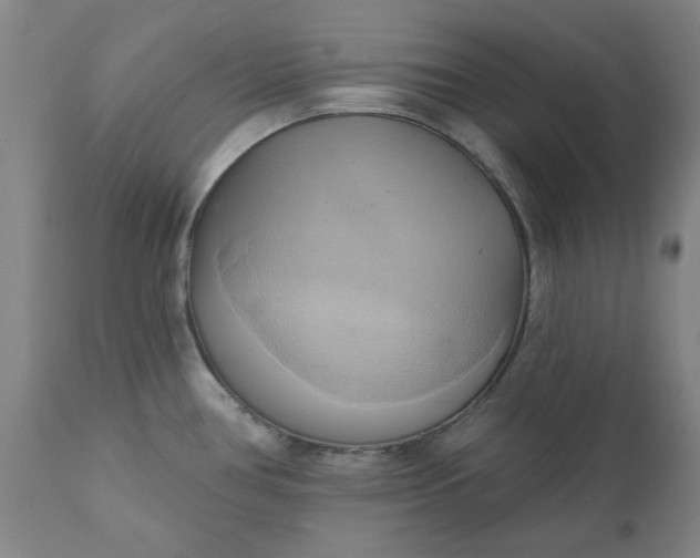 X0000110681386200906261310