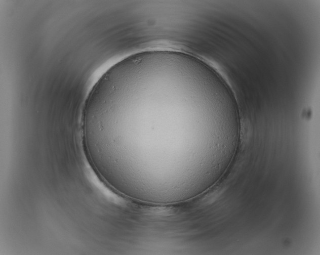 X0000110681387200906261310