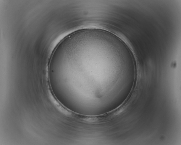 X0000110681388200906261310