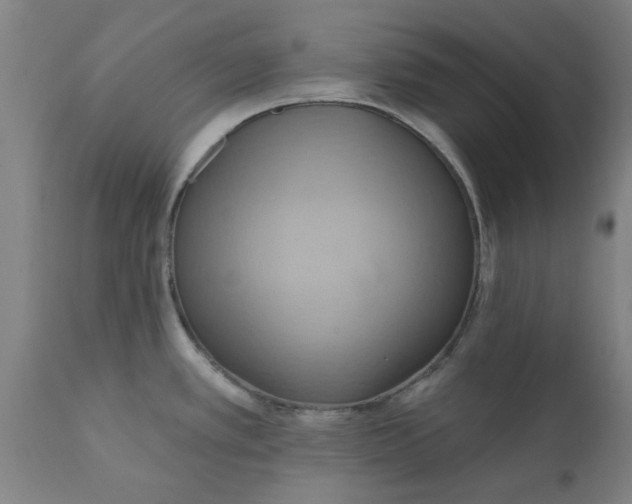 X0000110681389200906261310