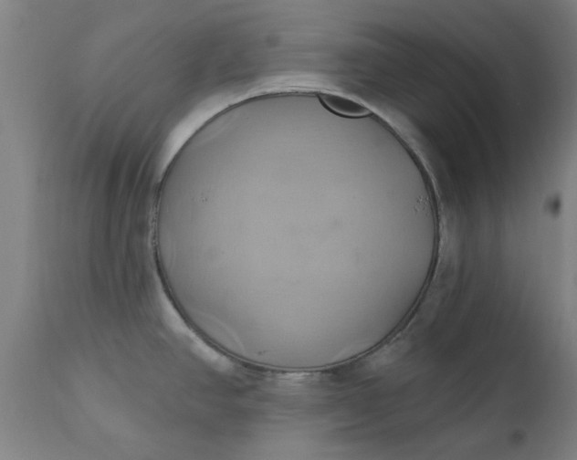 X0000110681390200906261310