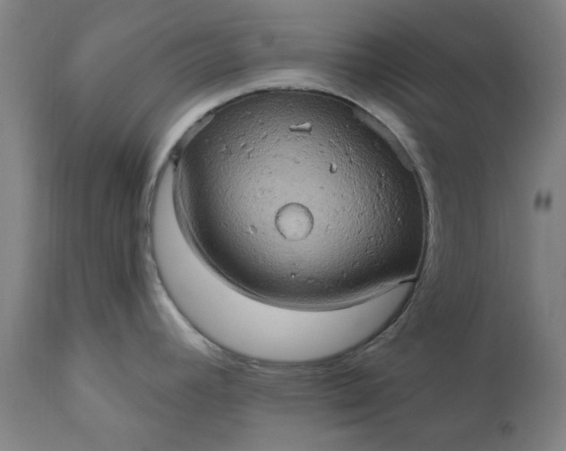 X0000110681392200906261310