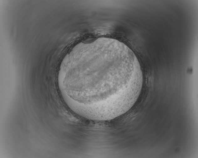 X0000110681393200906261309