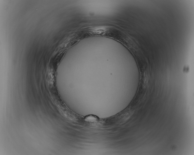 X0000110681394200906261309