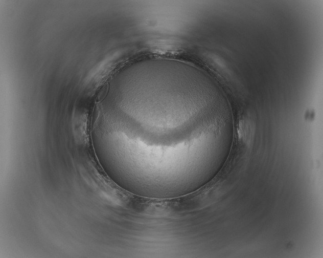 X0000110681396200906261309