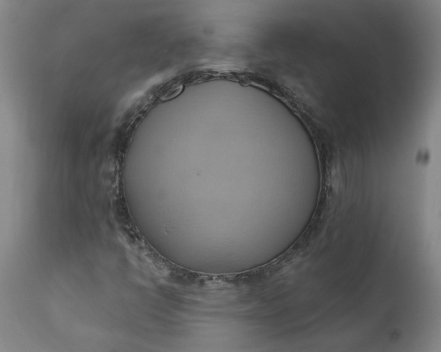 X0000110681398200906261309