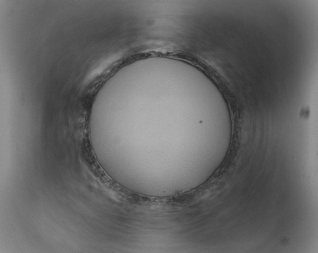 X0000110681399200906261309