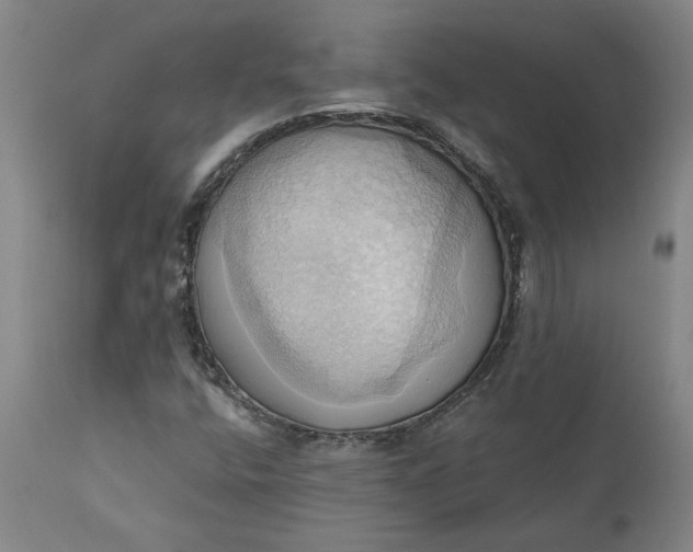 X0000110681400200906261309