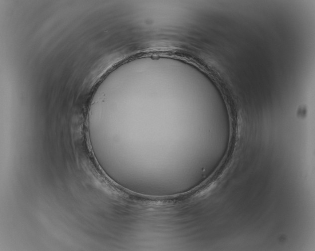 X0000110681401200906261309