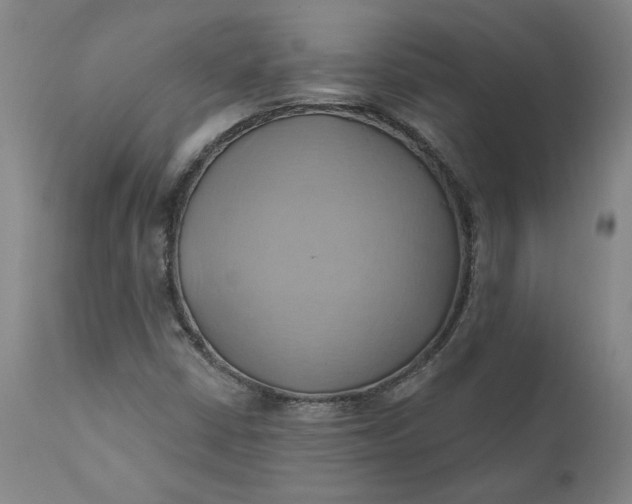 X0000110681402200906261309