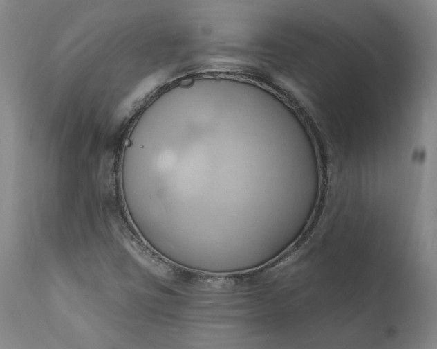 X0000110681403200906261309