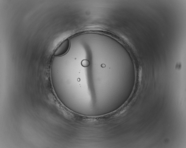 X0000110681405200906261309