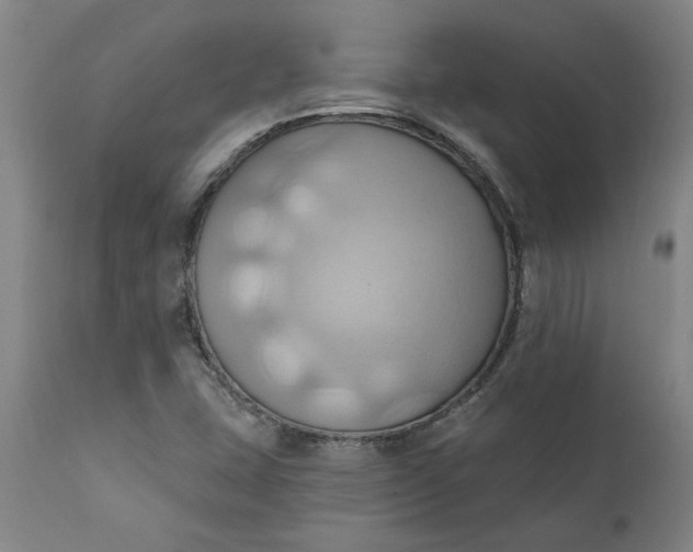 X0000110681407200906261309