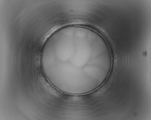 X0000110681409200906261309