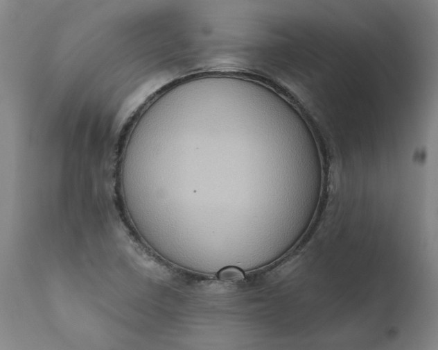 X0000110681410200906261309