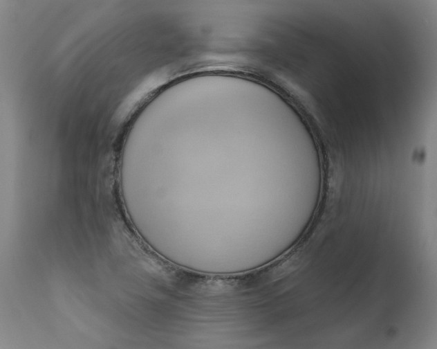 X0000110681411200906261309