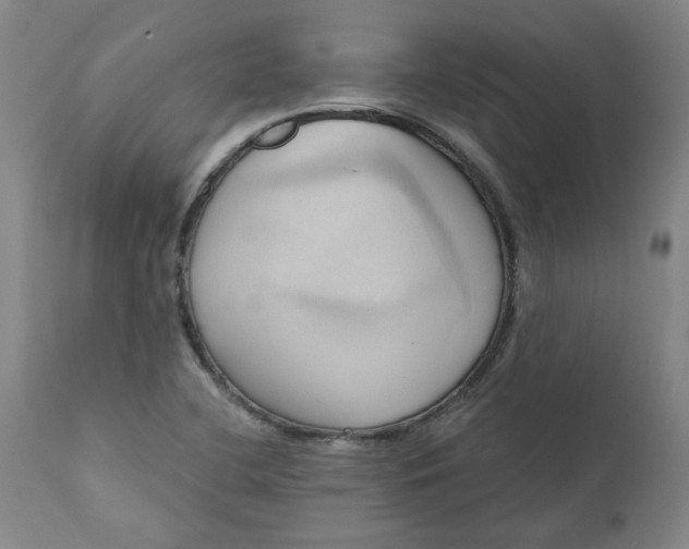 X0000110681412200906261309