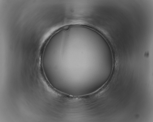 X0000110681414200906261309