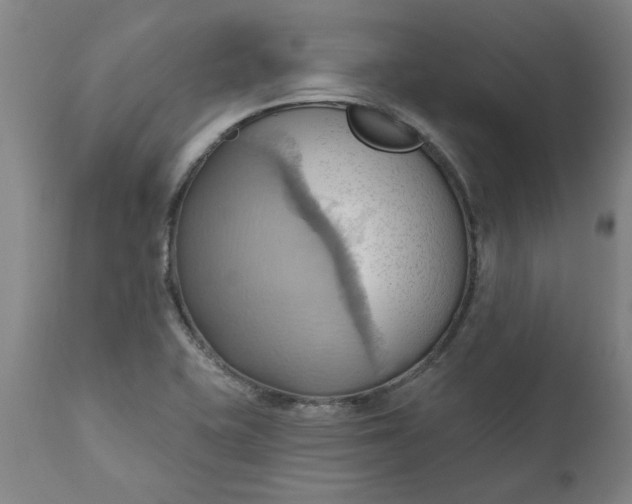 X0000110681415200906261310