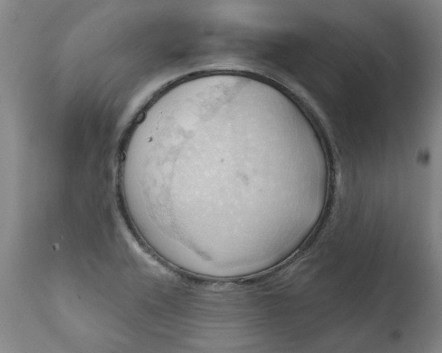 X0000110681416200906261310