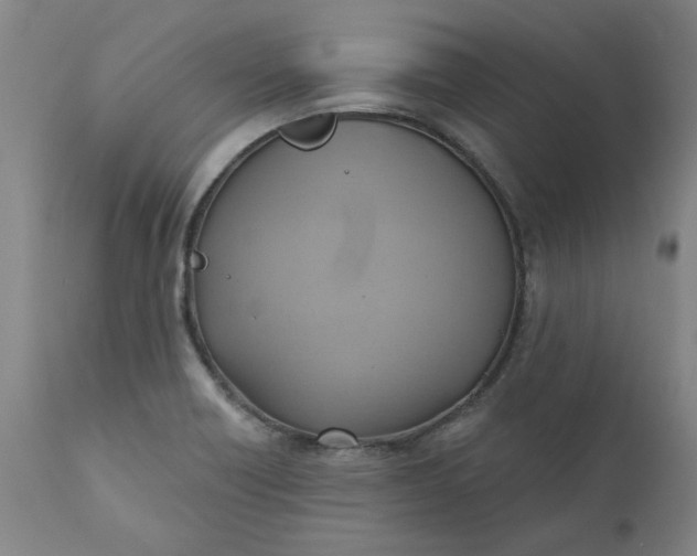 X0000110681418200906261310