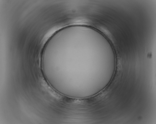 X0000110681419200906261310