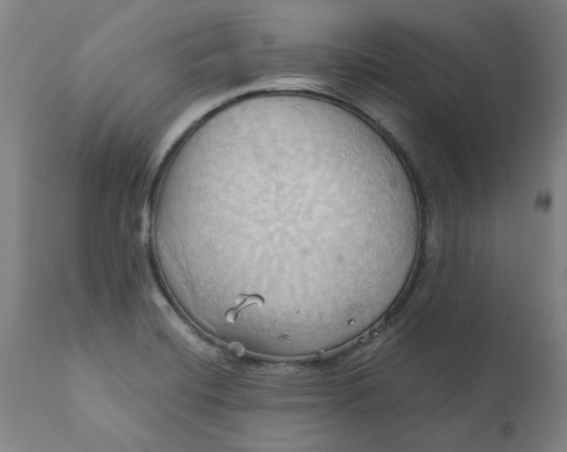 X0000110681420200906261310